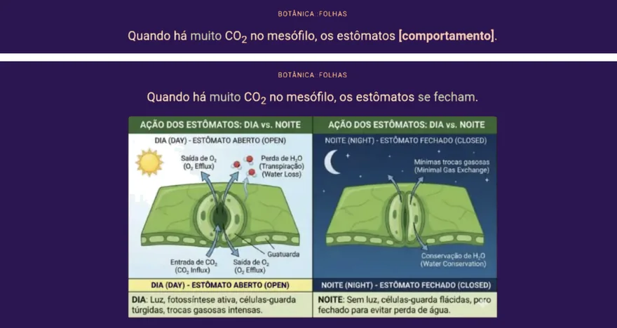 Flashcards do baralho sobre estômatos e transpiração